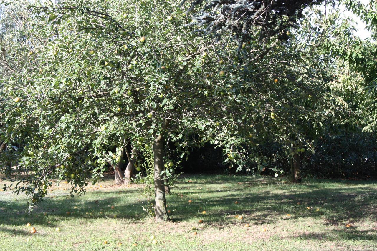 La Villa Blanc (Adults Only) Conques-sur-Orbiel Экстерьер фото